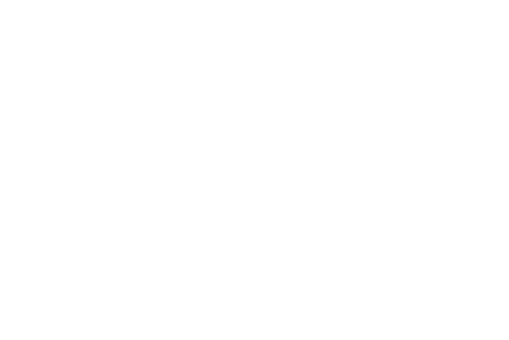 Saudi Vision 2030 Logo